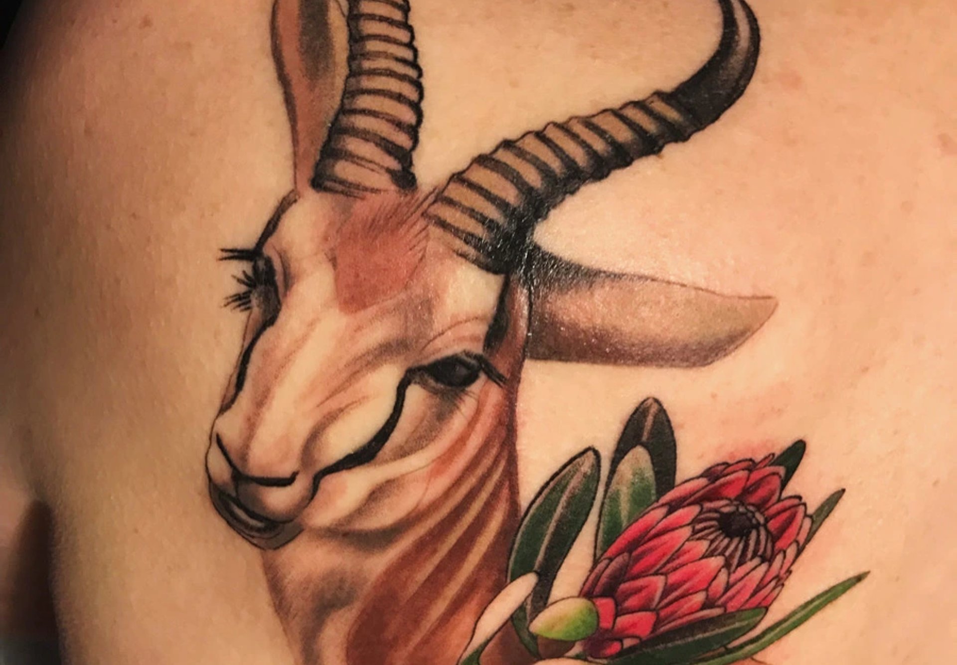 tattoo